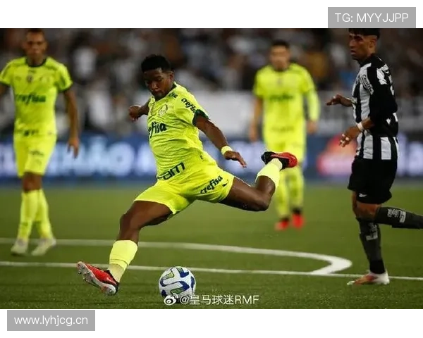 恩德里克在不同战术体系中的角色适配性解析